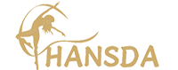 HANSDA TECHNOLOGY LIMITED